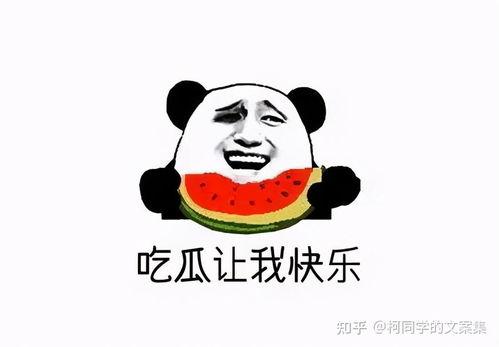 网红吃瓜搞笑文案,笑料百出，瓜田笑果连连
