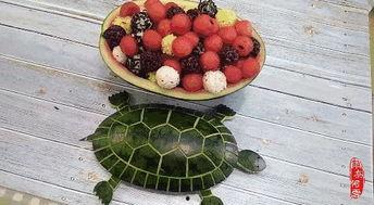 网红做业务吃瓜,揭秘业务背后的秘密