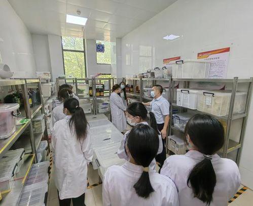 吃瓜爆料濮阳医专,揭秘校园风云，吃瓜爆料背后的真相